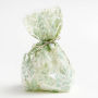 Watercolor Garden Cello Bags P/20