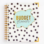 Alternative view 1 of Budget Planner