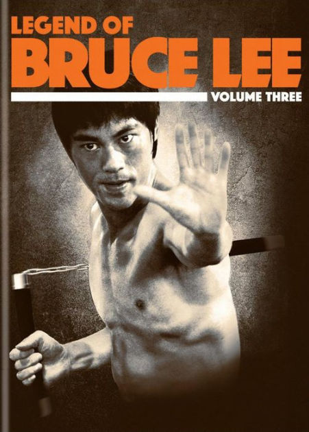 the legend of the bruce lee