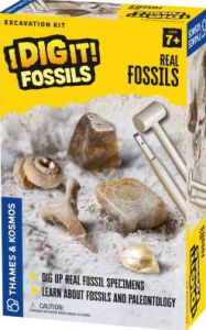 I Dig It! Fossils - Real Fossils Excavation Kit
