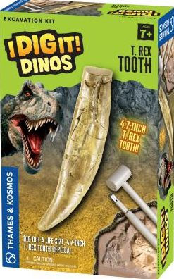 I Dig It! T. Rex Tooth