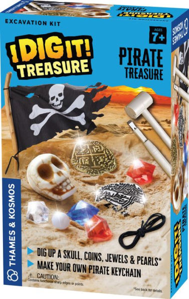 I Dig It! Pirate Treasure