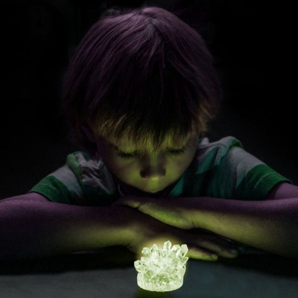 National Geographic Glow-in-the-Dark Crystal Growing Lab