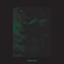 Tamer Animals/Other Side