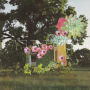 Home Everywhere [LP]