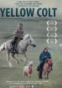 Yellow Colt