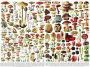 Alternative view 4 of Mushrooms 1,000-PIECE JIGSAW PUZZLE