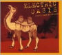 Electric Oasis: Exotic Arabian Grooves