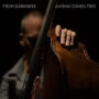 From Darkness (Avishai Cohen)