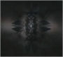 A New Constellation