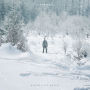 Winter & the Wolves