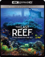 IMAX: The Last Reef: Cities Beneath the Sea [3D] [4K Ultra HD Blu-ray/Blu-ray]