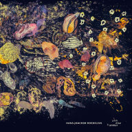 Title: Pink, Blue and Amber, Artist: Hans-Joachim Roedelius