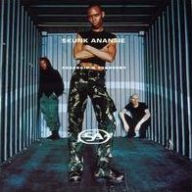 Title: Paranoid & Sunburnt, Artist: Skunk Anansie