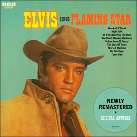 Elvis Sings Flaming Star