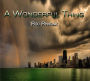 A Wonderful Thing