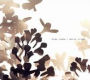 White Lilac