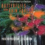 Gerónimo Lluberas: Butterflies in the Rain Forest, Music for Meditation & Celebration