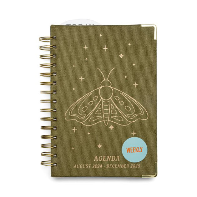 2025 Moth Corduroy Medium 17month Weekly Planner by Designworks Ink