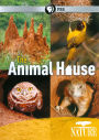 Nature: The Animal House