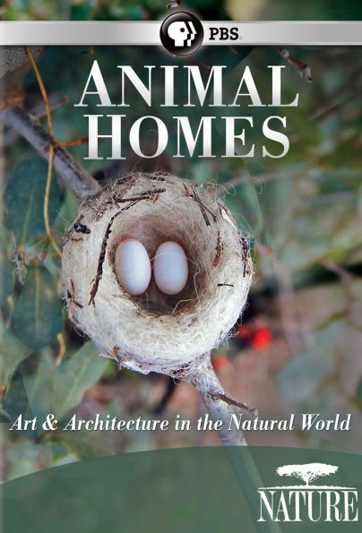 Nature: Animal Homes