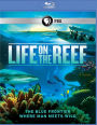 Life On The Reef