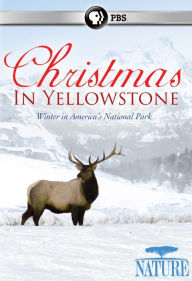 Title: Nature: Christmas in Yellowstone