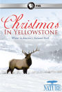 Nature: Christmas in Yellowstone