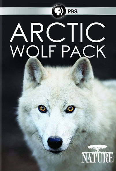 Nature: Arctic Wolf Pack