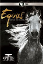 Nature: Equus - Story of the Horse