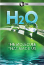 H2O: The Molecule That Made Us