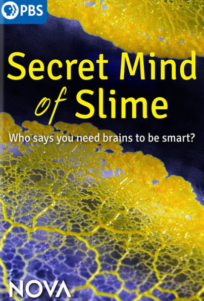 NOVA: Secret Mind of Slime