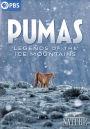 Nature: Pumas - Legends of the Ice Mountains