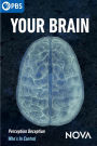 NOVA: Your Brain