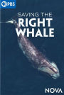 NOVA: Saving the Right Whale
