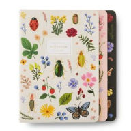 Title: Assorted Set of 3 Curio Notebooks