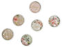 Magnets Glass 6 Pc