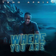 Title: Where You Are, Artist: Teno Afrika