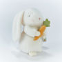 Easter Bunny Plush (B&N Exclusive)