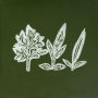 Variations of Weeds