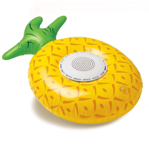floatie speaker
