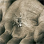 The Glimmers