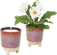 Title: Glow & Grow Wildflower Candle & Daisy Grow Kit