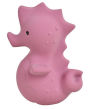 Sea Horse- Natural Rubber Rattle & Bath Toy