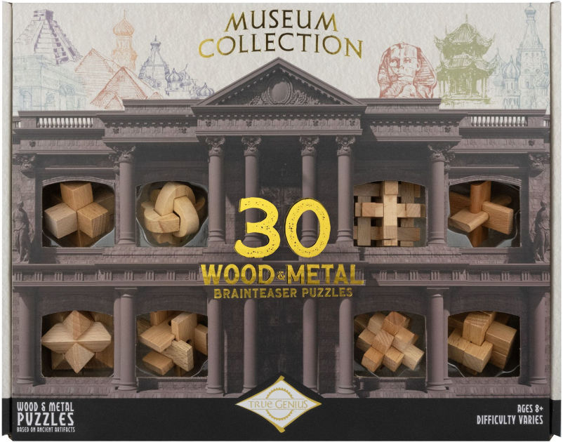 True Genius Museum Collection Brainteaser Puzzle by Project Genius