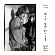 Title: Hold That Tiger, Artist: Sonic Youth