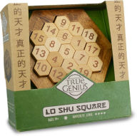 Title: True Genius Lo Shu Square Puzzle Wooden Brainteaser Puzzle