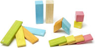 Title: 14 Piece Tegu Magnetic Wooden Block Set, Tints