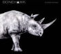 Albino Rhino