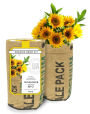 Sunflower Grow Kit